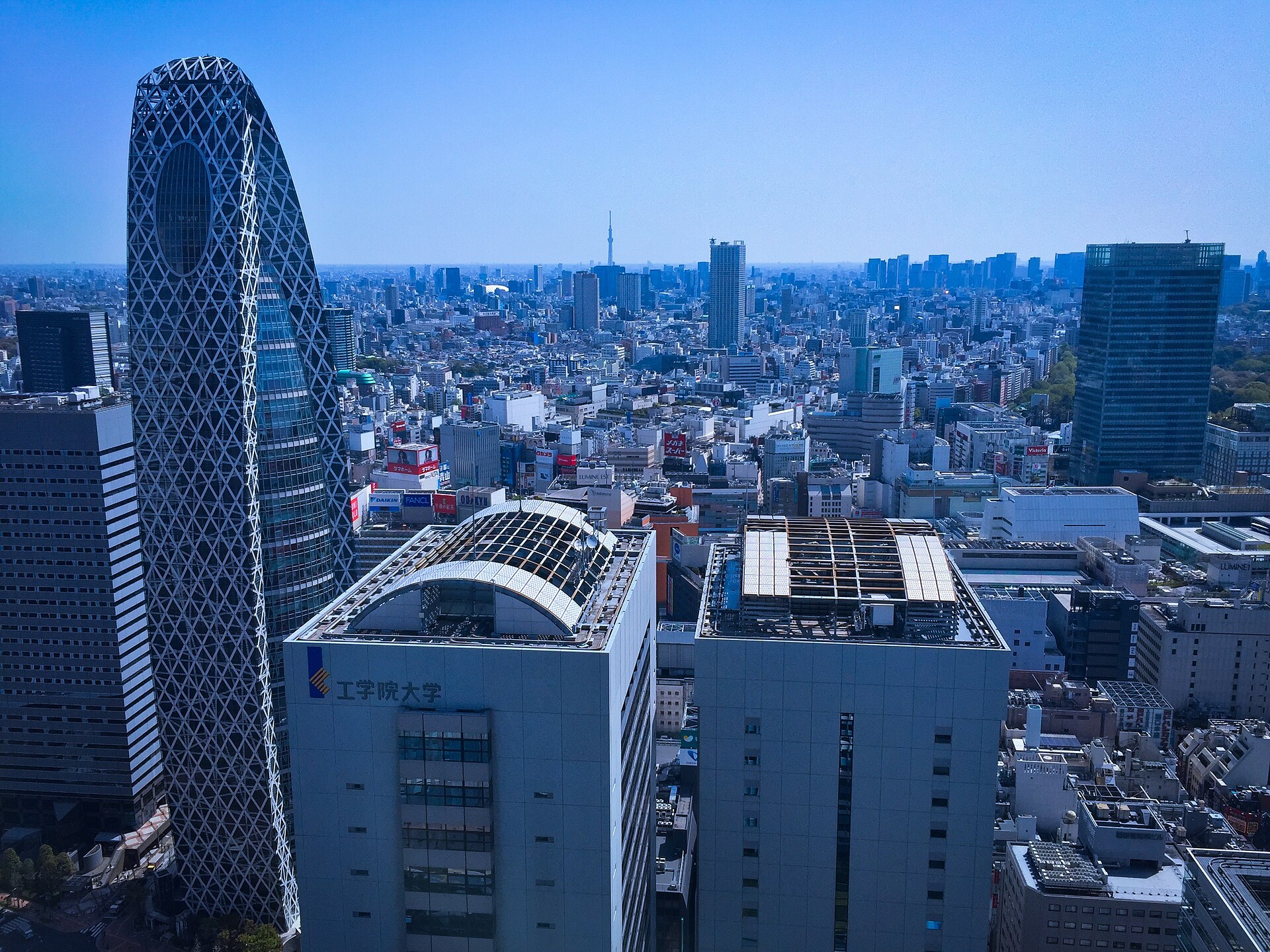 Shinjuku hotel skyline view