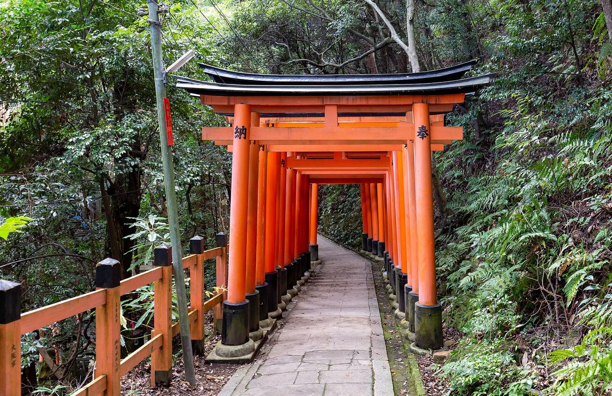 Kyoto Fushimi Inari torii