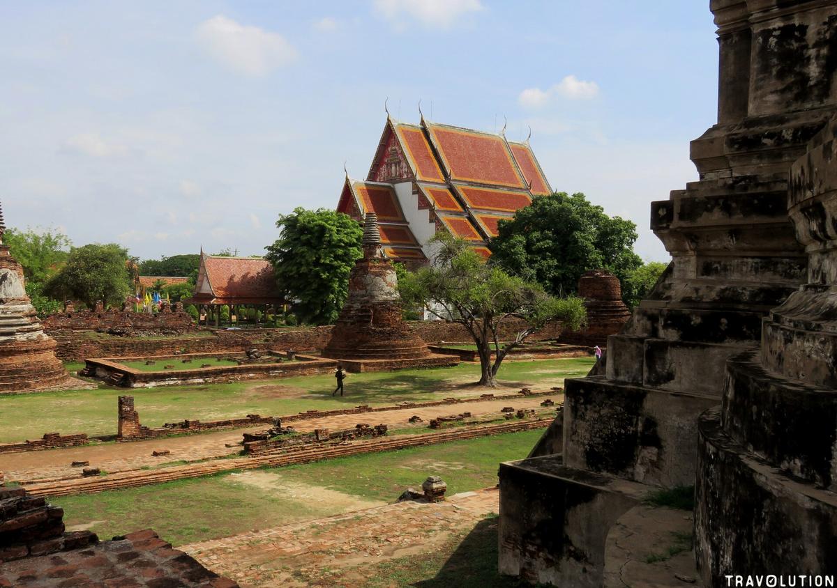 Ayutthaya temple ruins buddha head tree