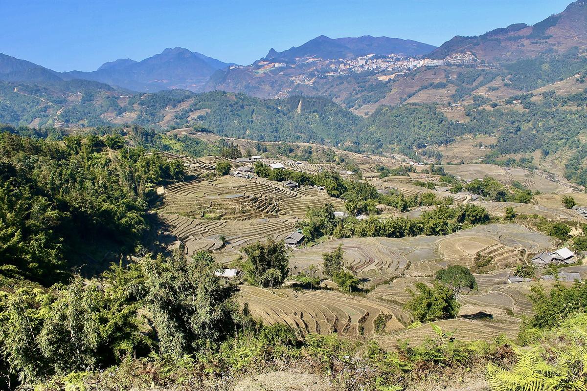 Sapa rice terraces Vietnam