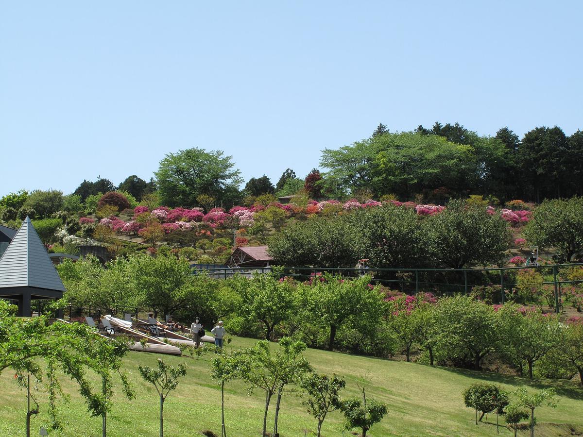 flower park hill Japan