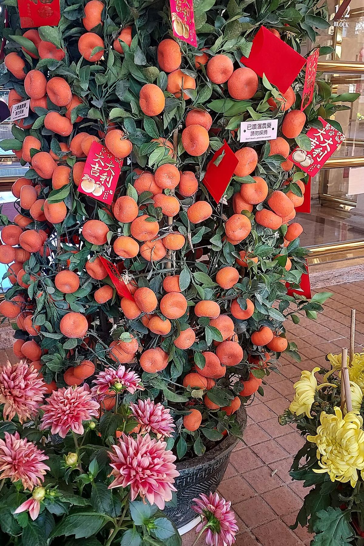 Hong Kong Chinese New Year decorations