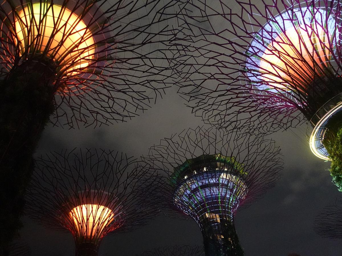 Gardens by the Bay light show