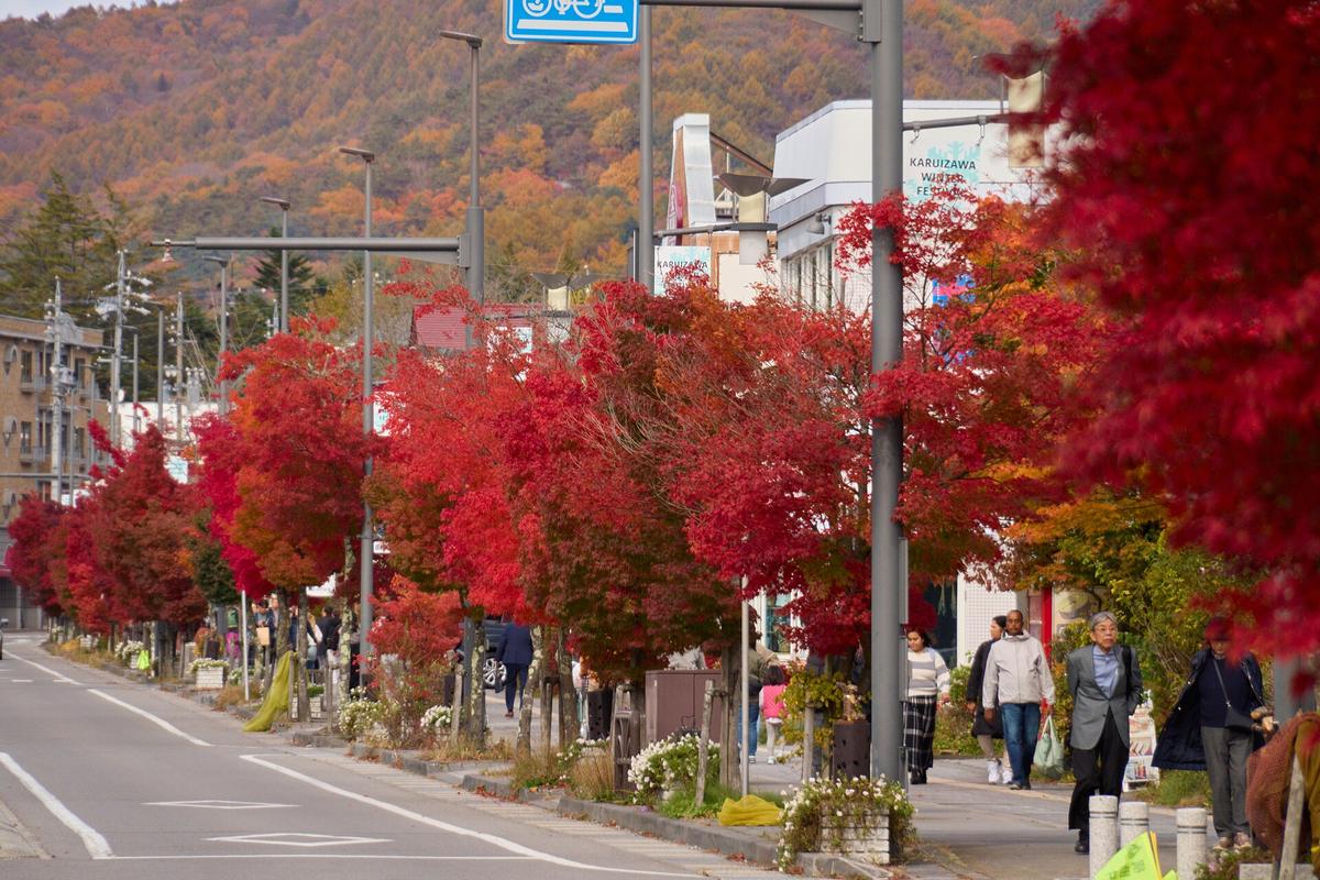 Karuizawa Japan tree lined street