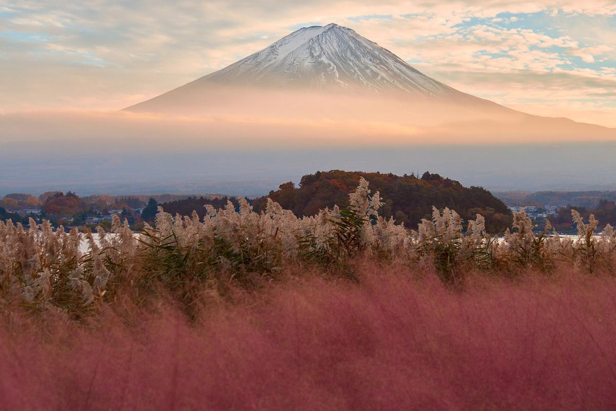 Fuji five lakes autumn