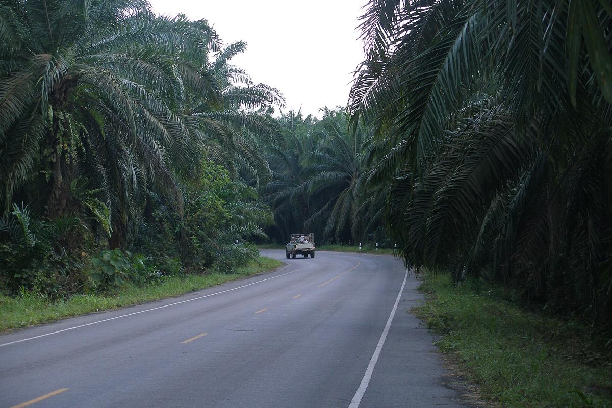 Krabi