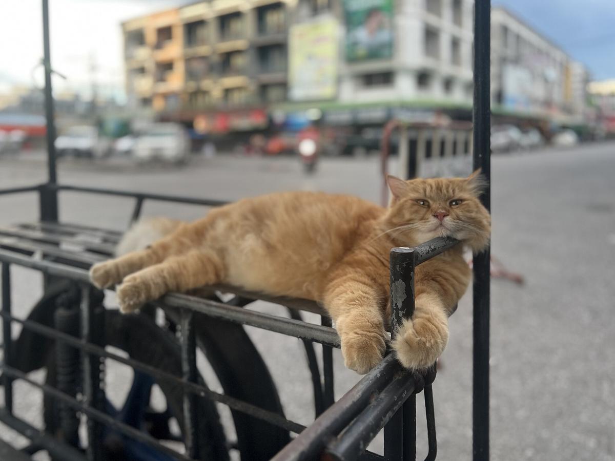 Krabi street