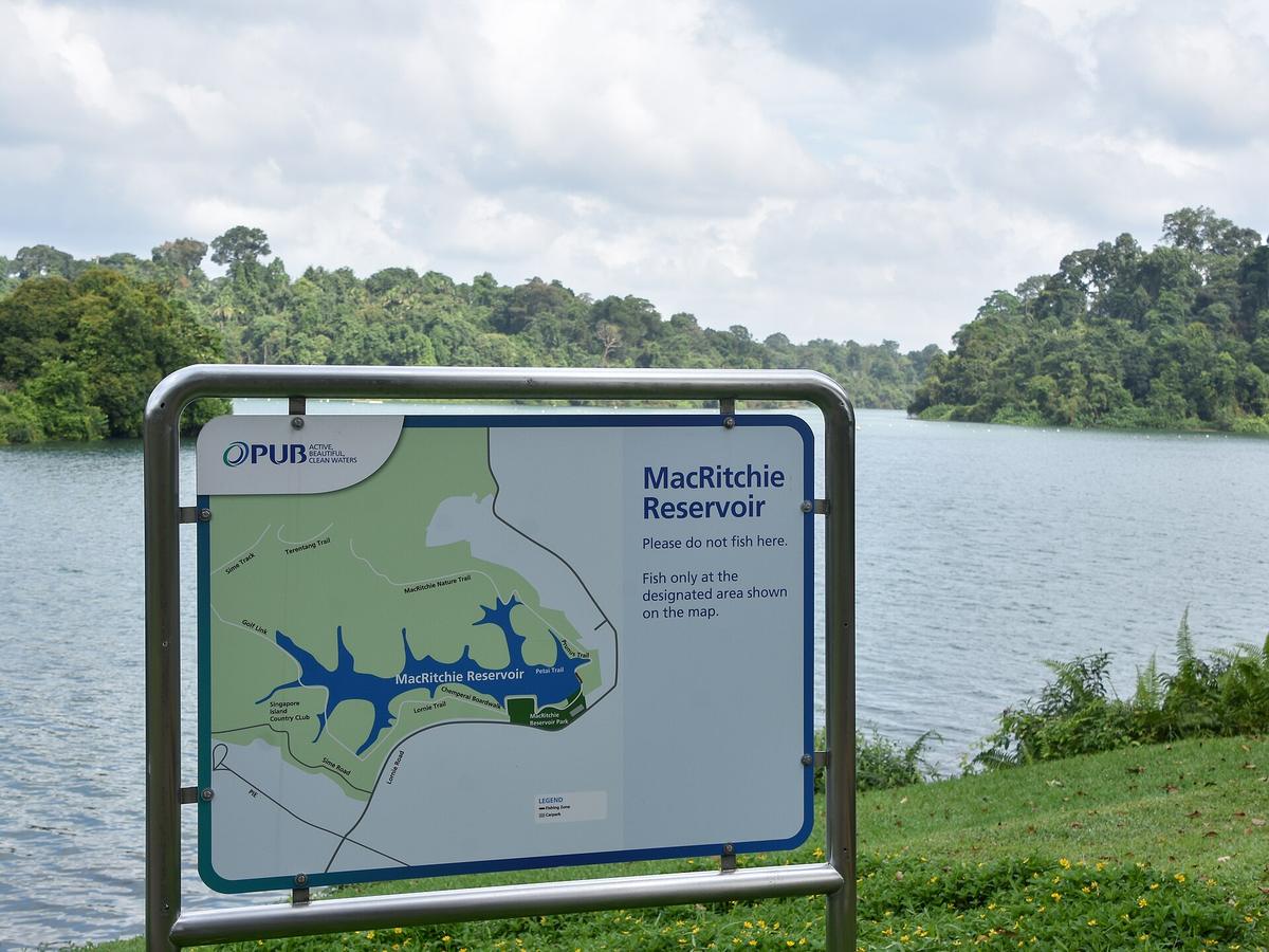 MacRitchie Reservoir Singapore boardwalk
