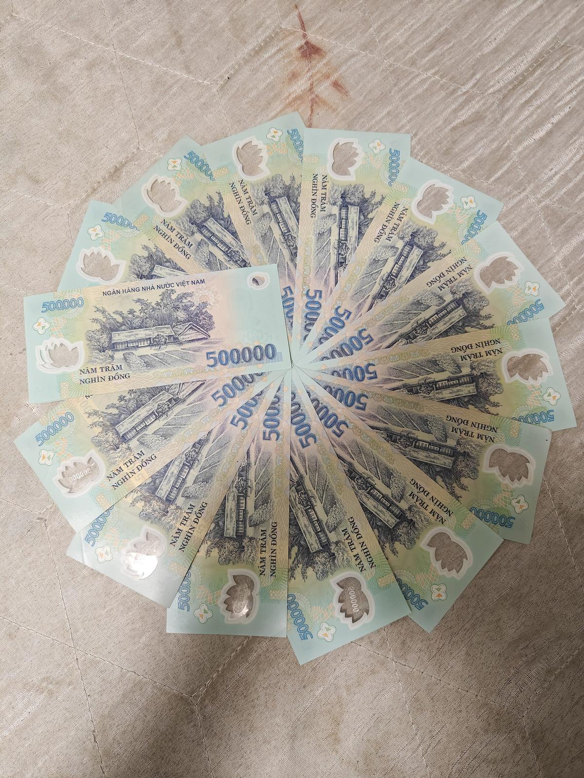 Vietnamese dong banknotes