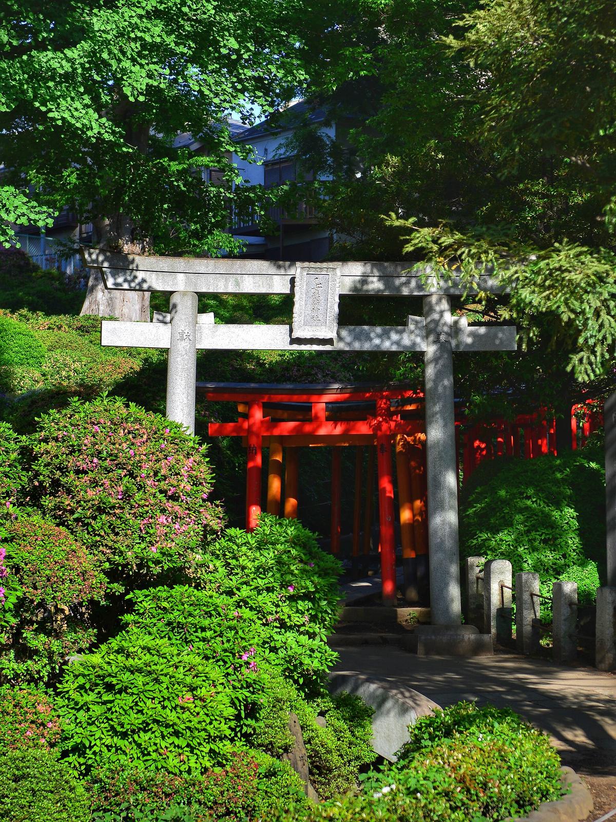 Nezu shrine torii