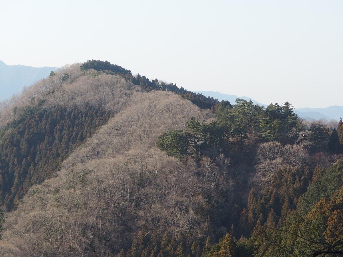 Mount Mitake shrine