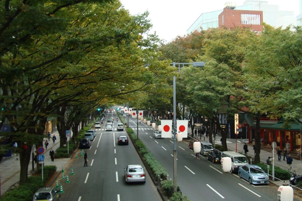 Omotesando Tokyo tree