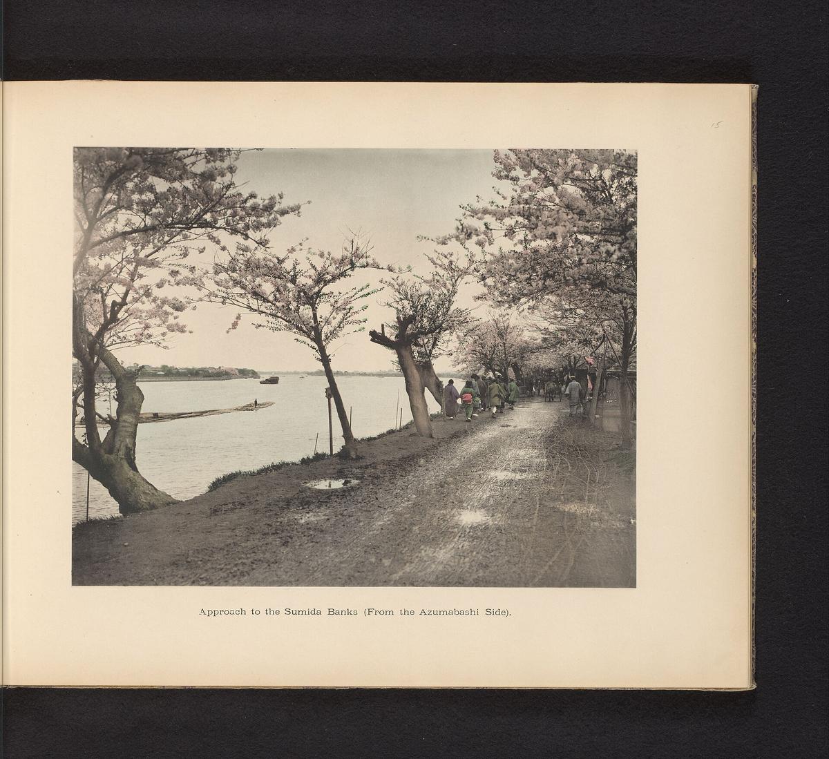 Japan hanami picnic river
