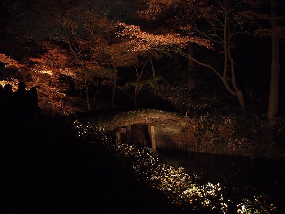 Rikugien garden Tokyo autumn