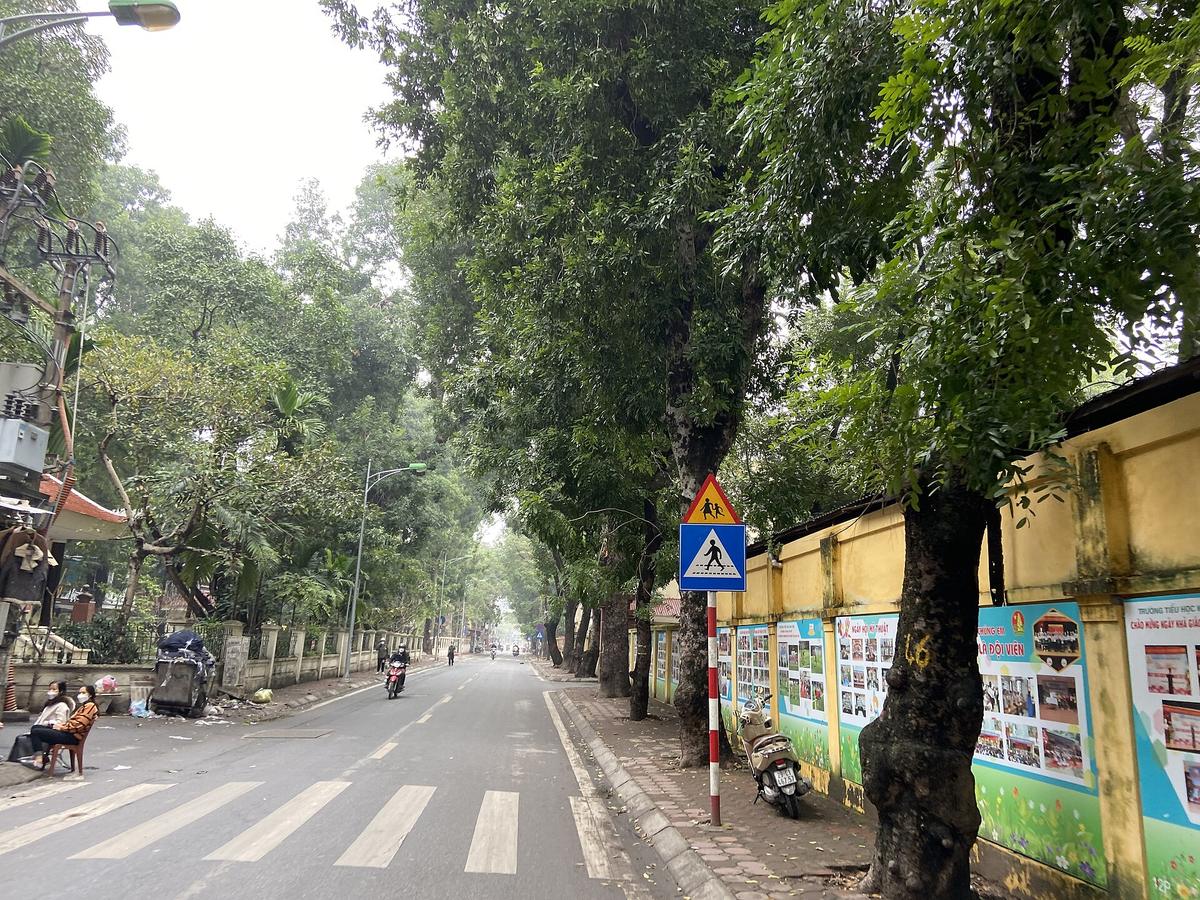 Vietnam pedestrian street crossing