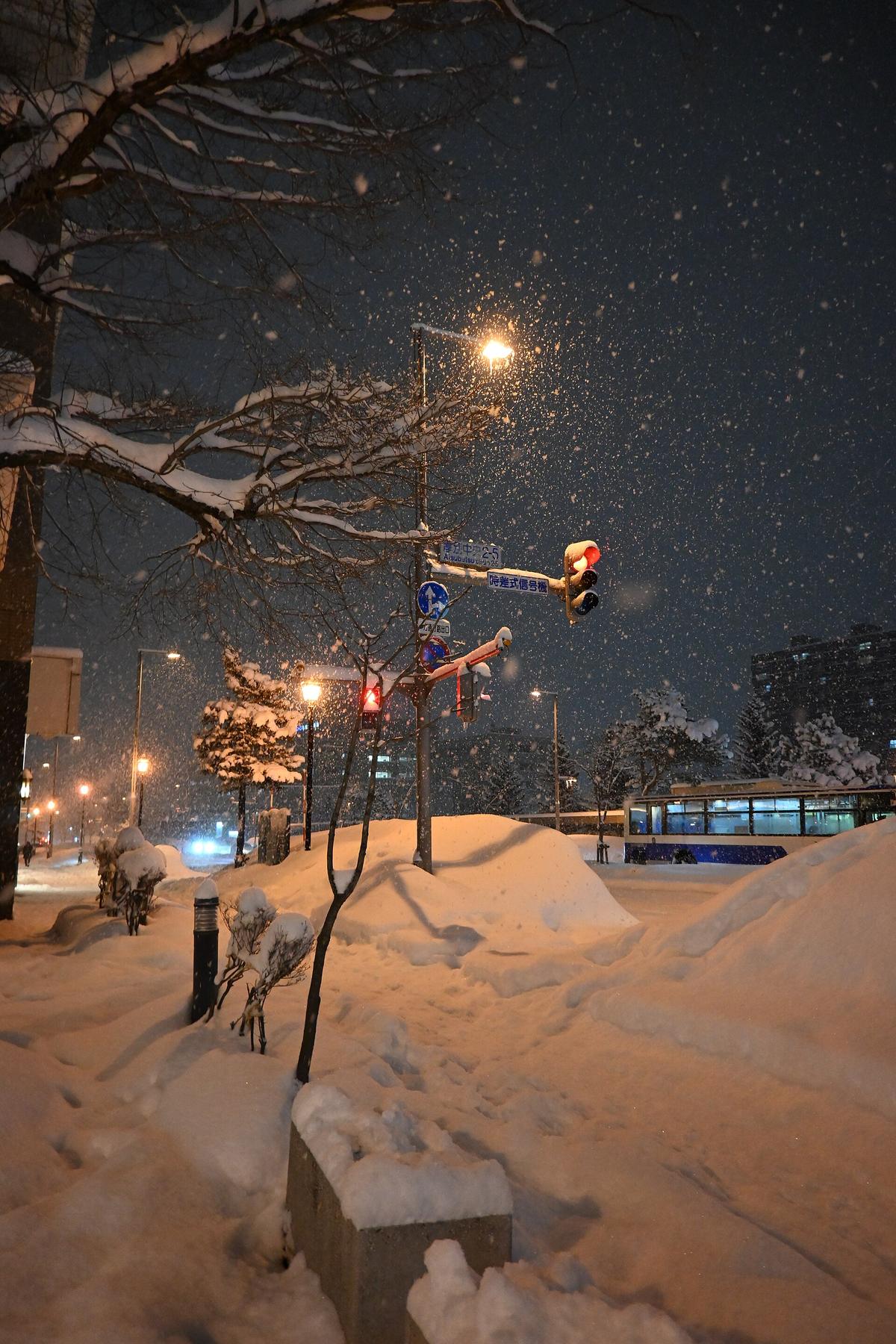 Sapporo street