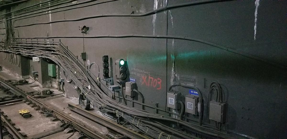 Shanghai science museum