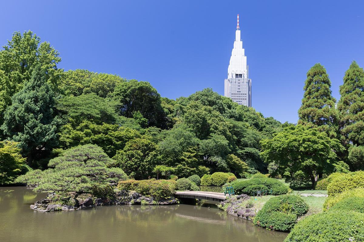 Shinjuku Gyoen garden Tokyo