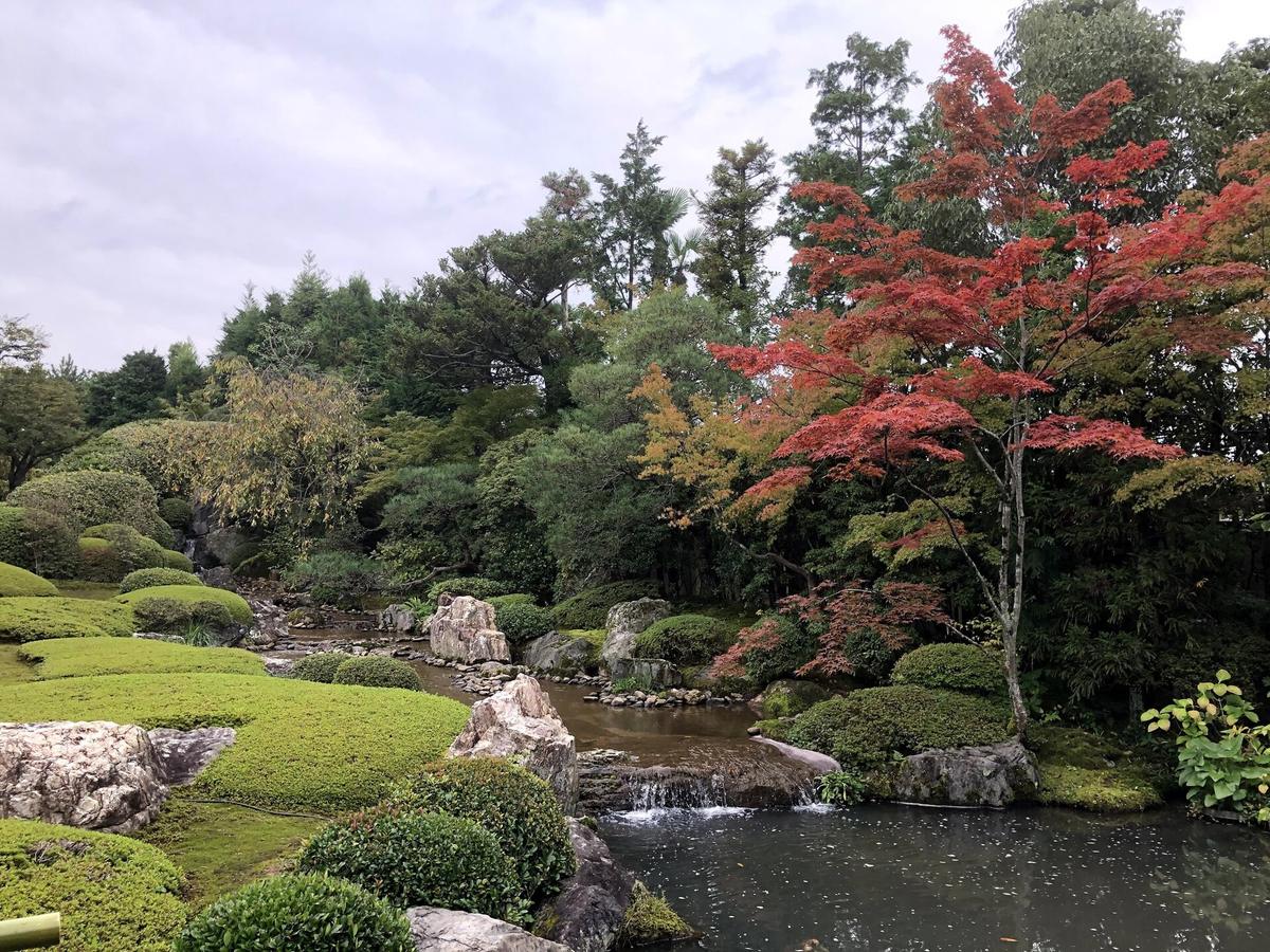 Japanese temple garden pond