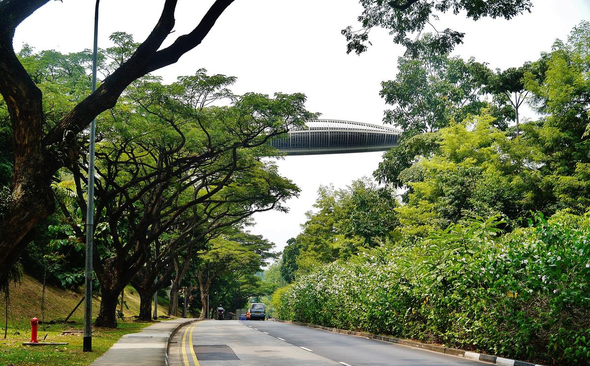 Southern Ridges Henderson Waves Singapore