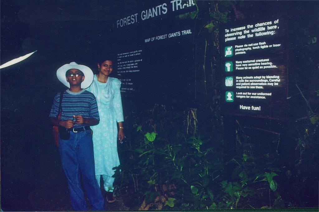 Night Safari Singapore tram
