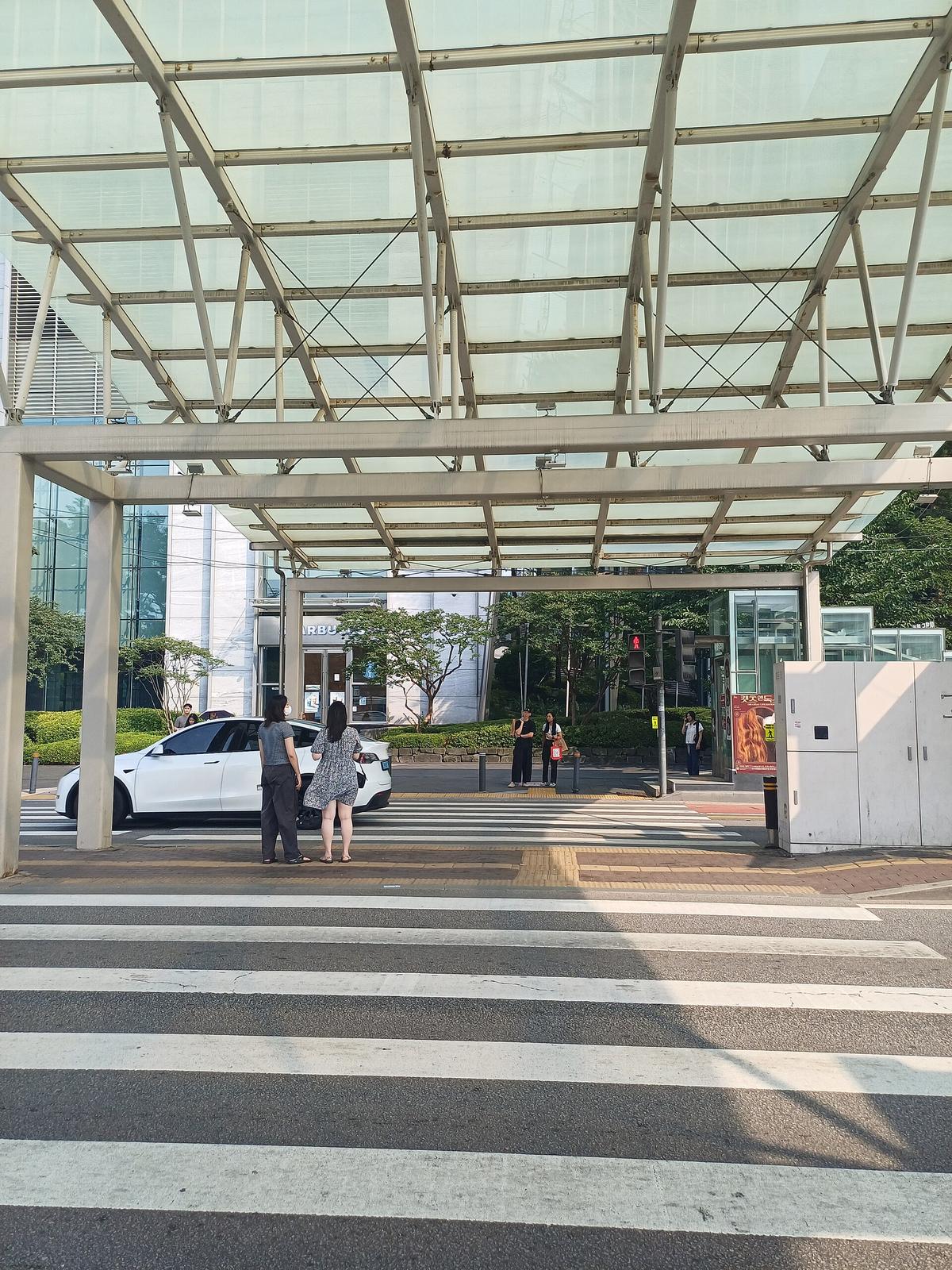 Seoul pedestrian crossing