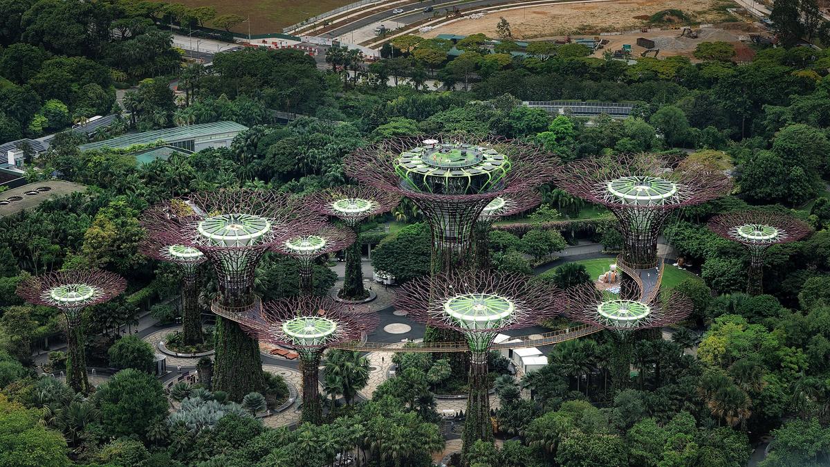 Gardens by the Bay Supertree Grove