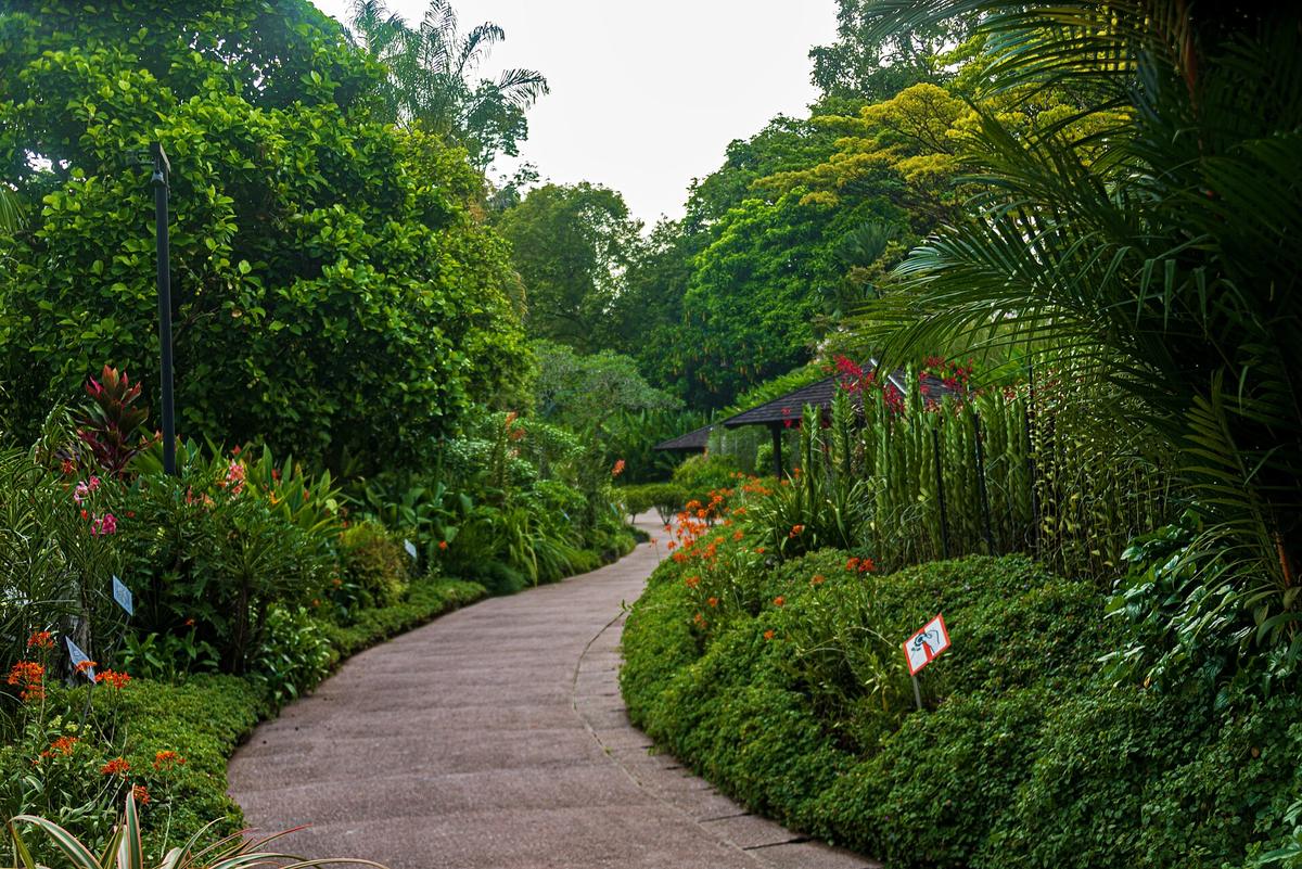 Singapore Botanic Gardens path