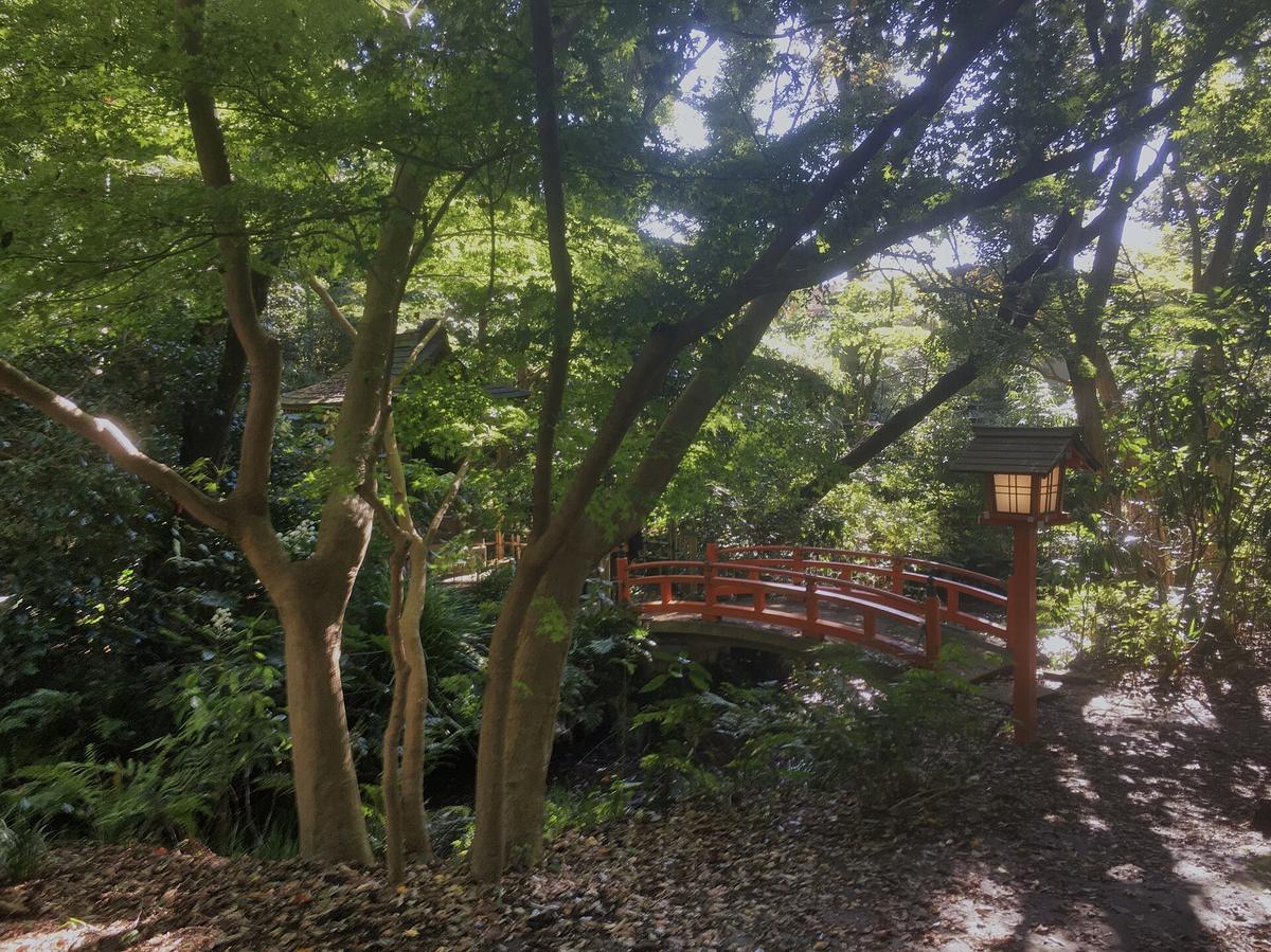 Todoroki ravine Tokyo