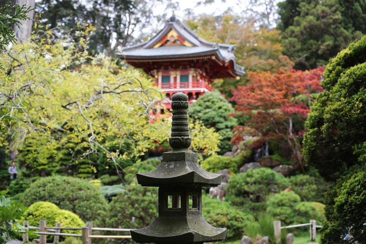 Japanese temple garden