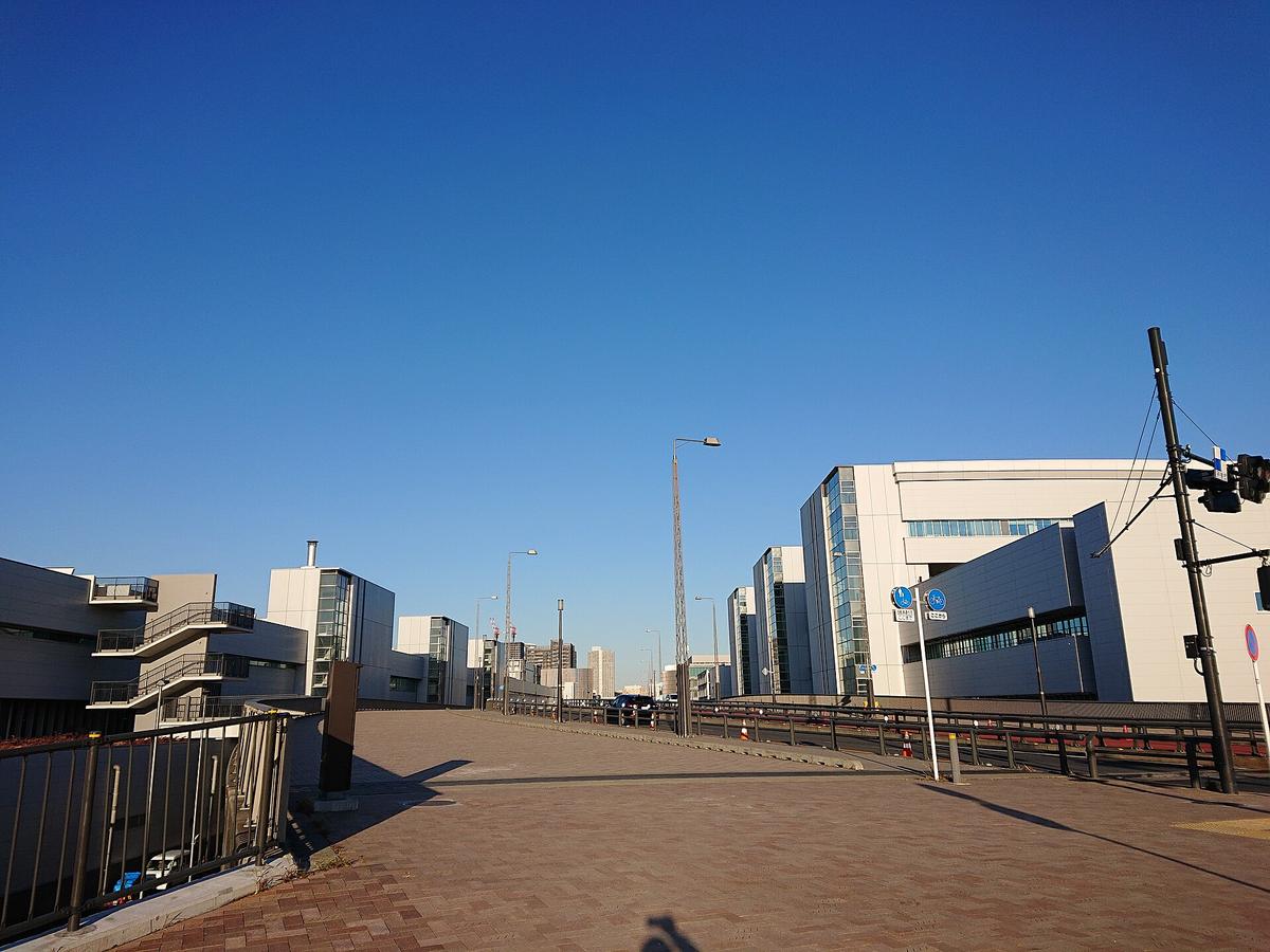Toyosu fish market Tokyo auction