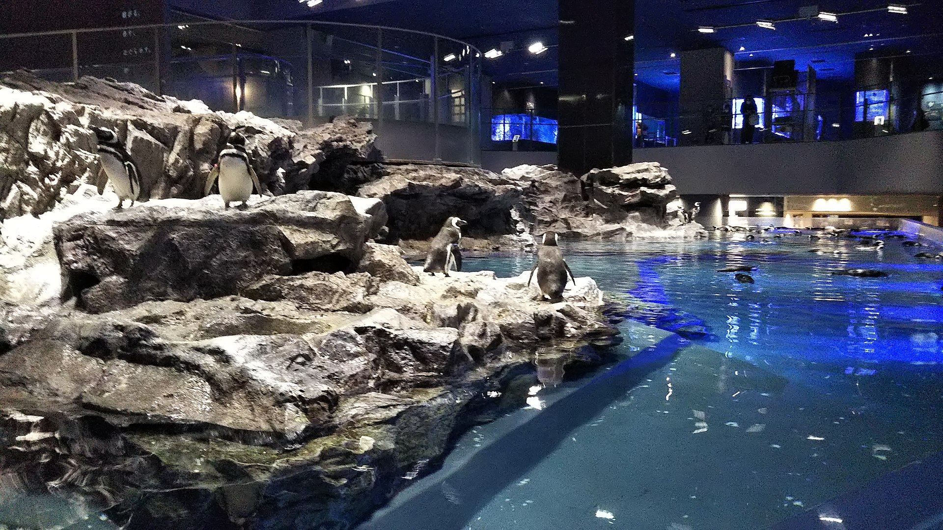Tokyo aquarium interior